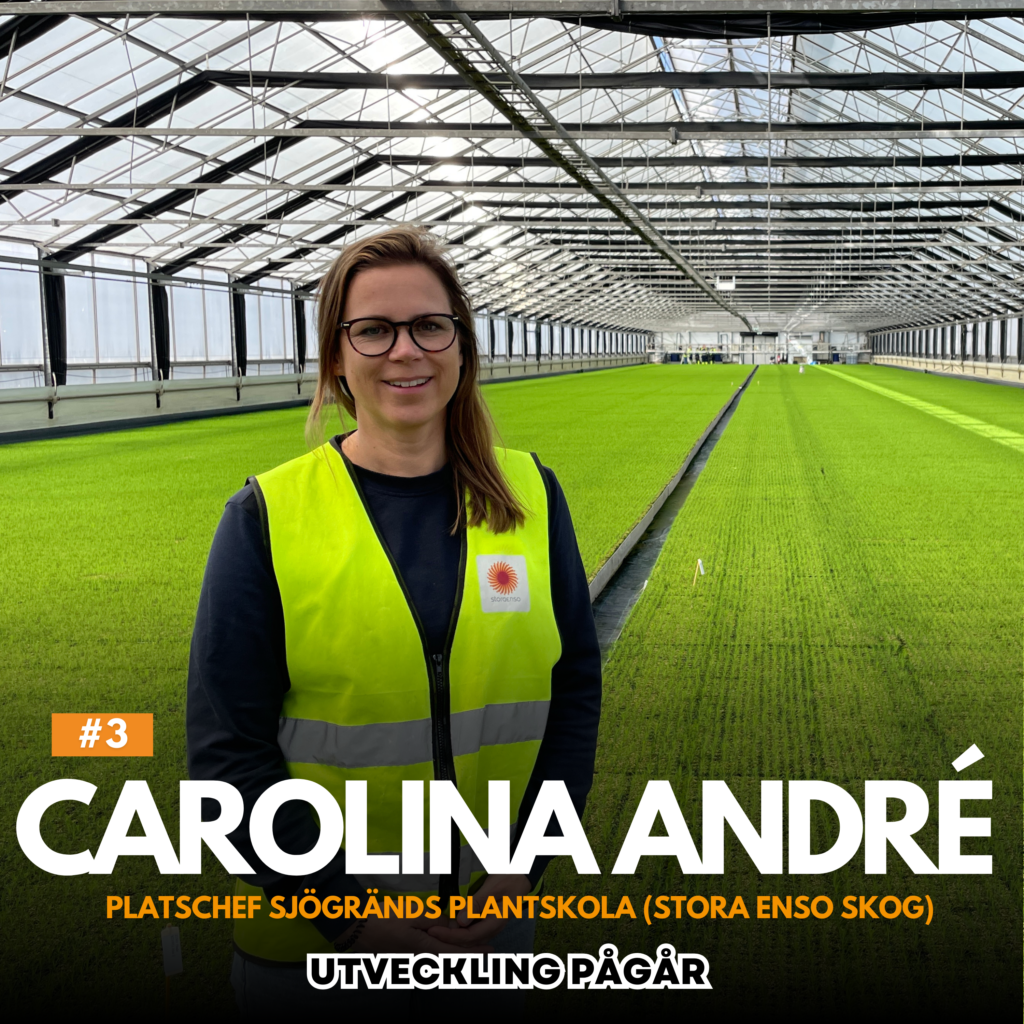 Carolina André, platschef på Sjögränds plantskola, står i ett stort växthus med rader av gröna plantor. Hon bär en gul varselväst och ler mot kameran.