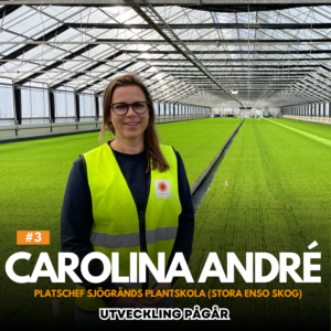 Carolina André, platschef på Sjögränds plantskola, står i ett stort växthus med rader av gröna plantor. Hon bär en gul varselväst och ler mot kameran.